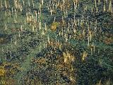 Africa 258 : Aerial View, Africa, Botswana, Delta, Evening Glow, Landscape, Mombo, Nature, Okavango, Travel, Water Grass